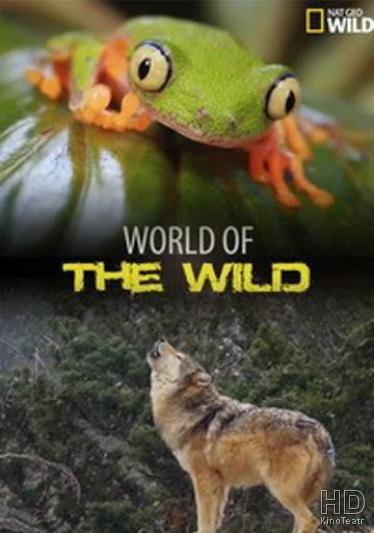 Мир дикой природы / World of the Wild