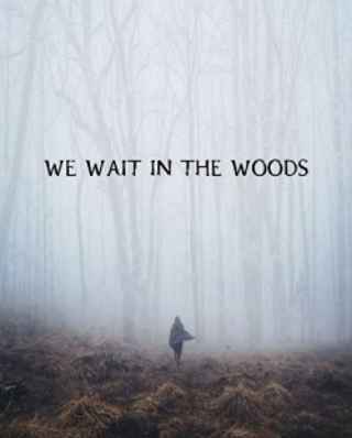 Мы поджидаем в лесу / We Wait in the Woods