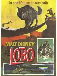 Легенда о Лобо / The Legend of Lobo