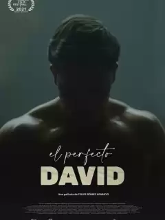 Идеальный Давид / El perfecto David