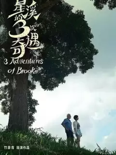 Три приключения Брук / Three Adventures of Brooke