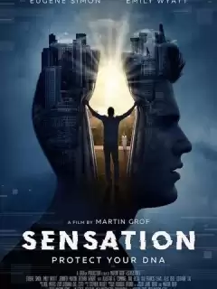 Восприятие / Sensation