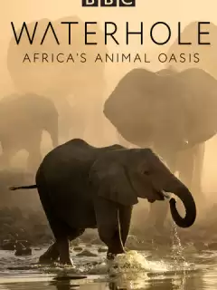 BBC. Водопой: Африканский Оазис для Животных / Waterhole: Africa's Animal Oasis