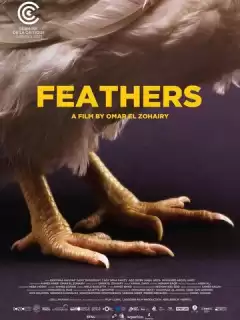 Перья / Feathers