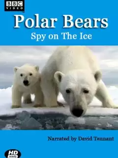 Белый медведь: Шпион во льдах / Polar Bears: Spy on the Ice