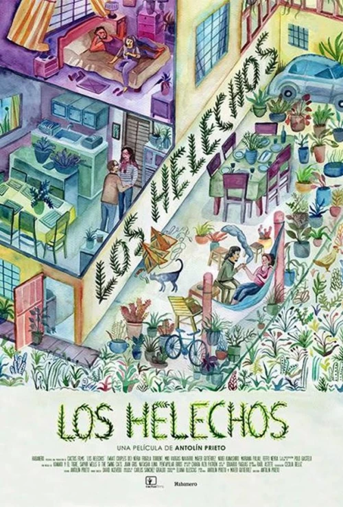 Папоротники / Los Helechos